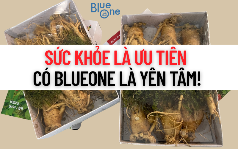🇻🇳 Dịch Biến Chủng Mới Trở Lại: Cần Gấp Sâm Hàn Tăng Đề Kháng – BlueOne Giao Nhanh Tận Tay!
