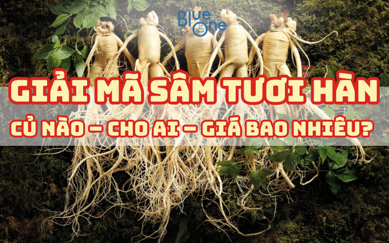 🇰🇷🥢 [CẨM NANG] PHỔ BIẾN KIẾN THỨC VỀ SẮM TƯƠI HÀN QUỐC: Phân loại 4, 5, 6 củ/kg, chọn sao phù hợp?