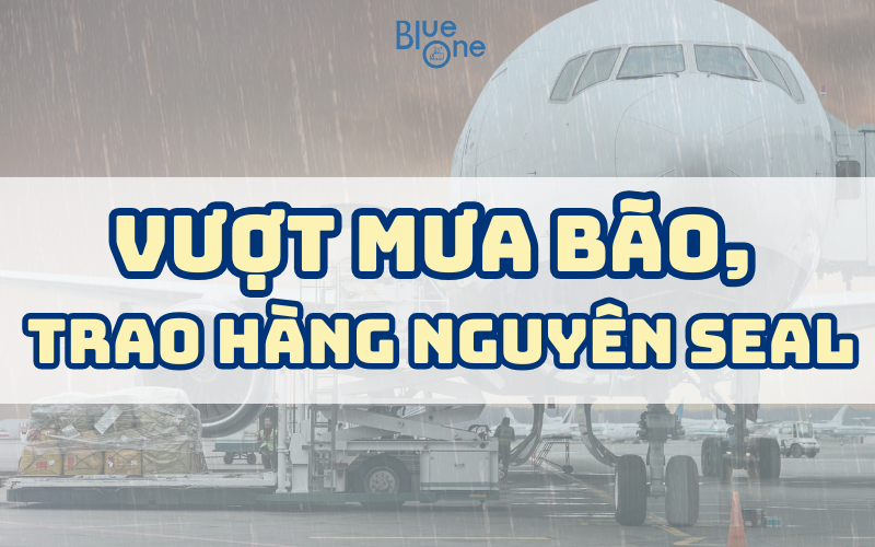 🚚 Hàng Về Nhanh – An Toàn Bất Chấp Mưa Bão Cùng BlueOne