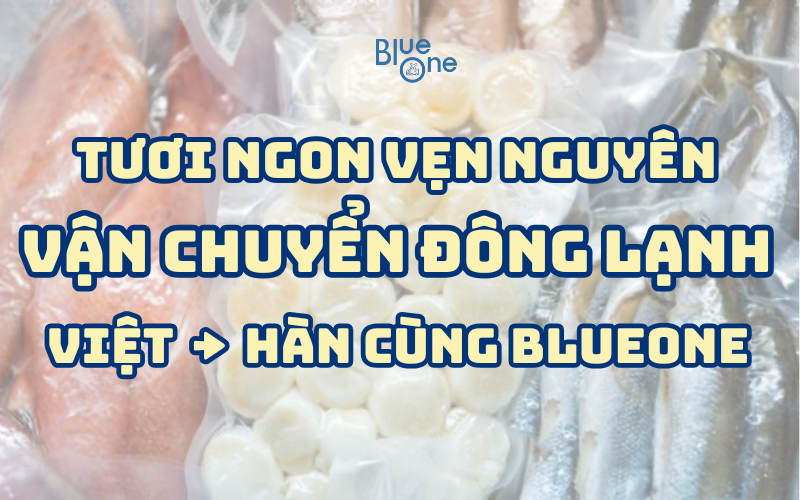 Gửi hàng đông lạnh từ Việt Nam sang Hàn Quốc – An toàn & nhanh chóng cùng BlueOne