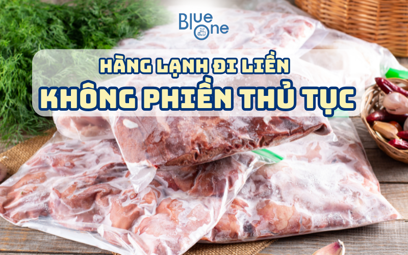 Gửi Hàng Đông Lạnh Sang Hàn Quốc – Nhanh Chóng, An Toàn, Minh Bạch